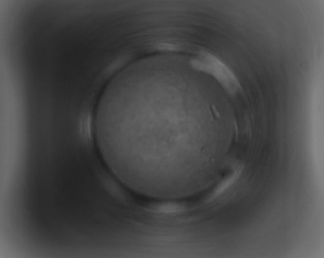 X0000101440445200807071406