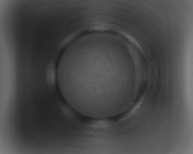 X0000101440446200807071406