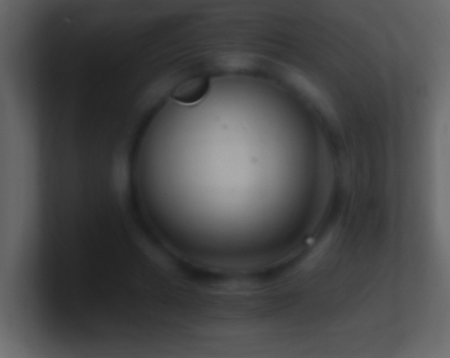 X0000101440447200807071406