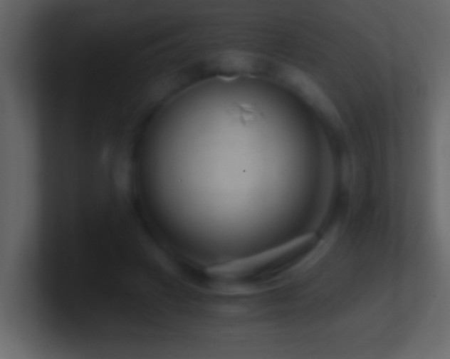 X0000101440449200807071406