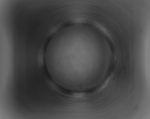 X0000101440450200807071406