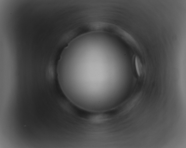 X0000101440452200807071406