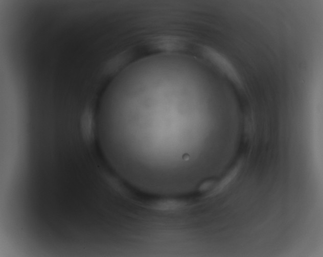 X0000101440453200807071406