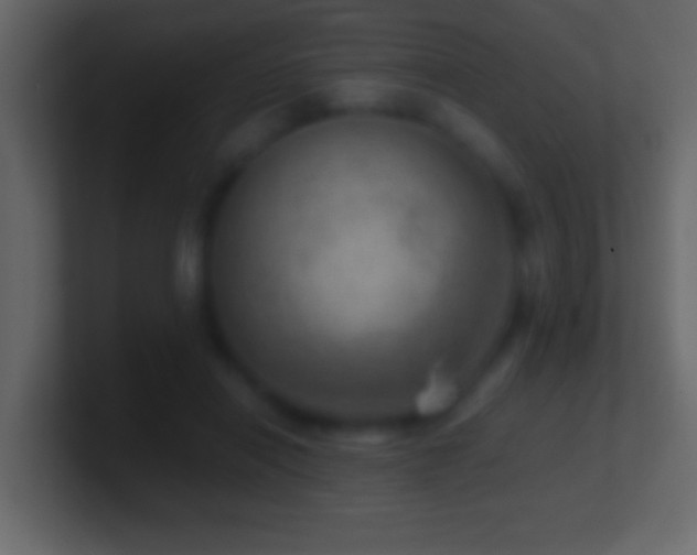 X0000101440454200807071406