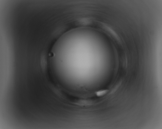 X0000101440455200807071406