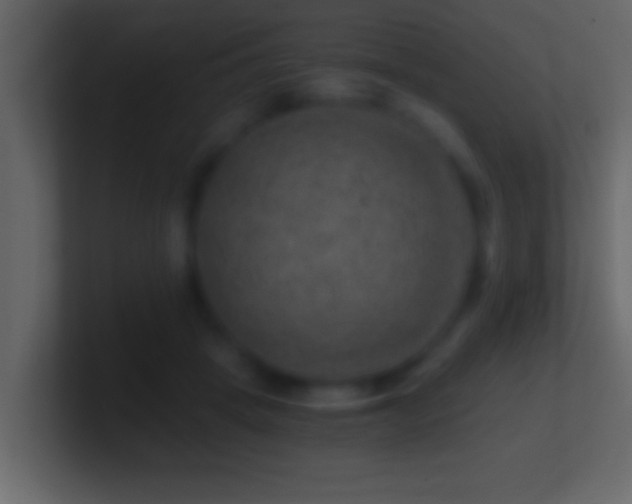 X0000101440457200807071406