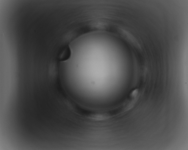 X0000101440466200807071406