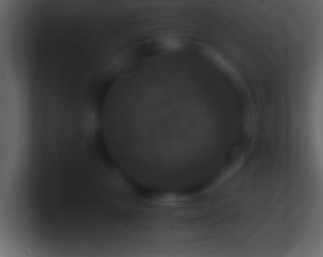 X0000101440467200807071406