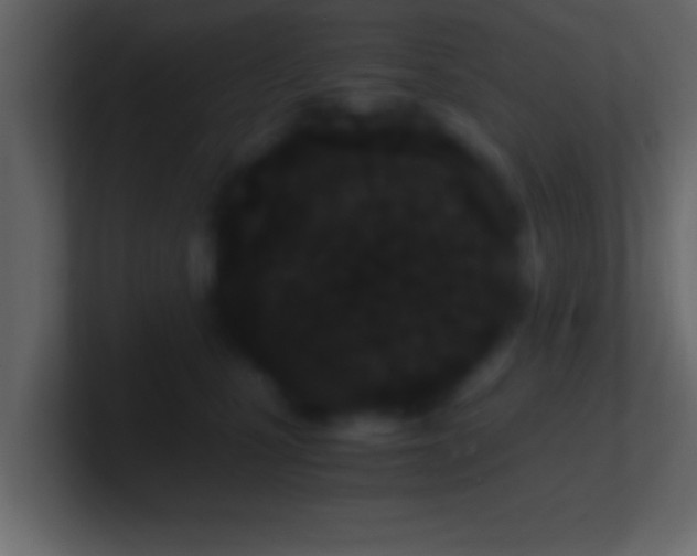 X0000101440471200807071406