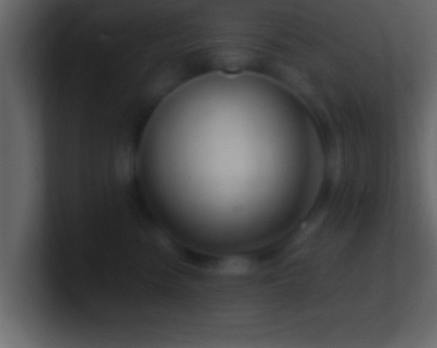 X0000101440474200807071406