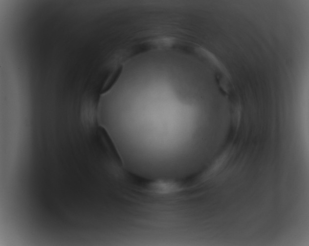 X0000101440477200807071406