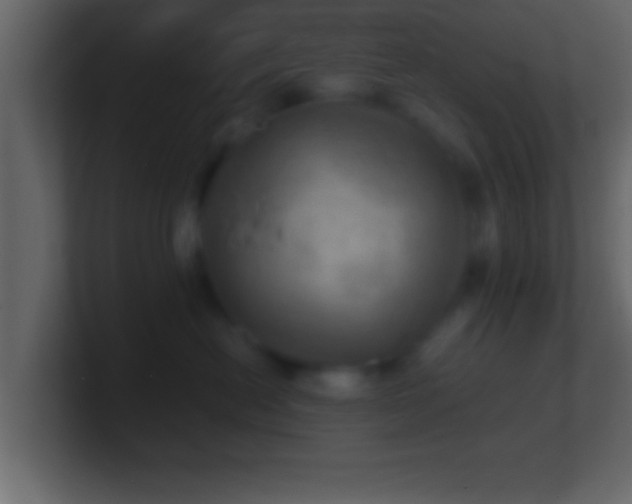 X0000101440478200807071406