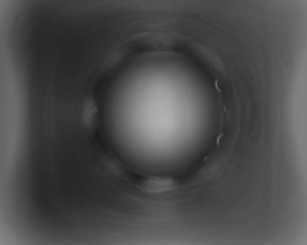 X0000101440480200807071406