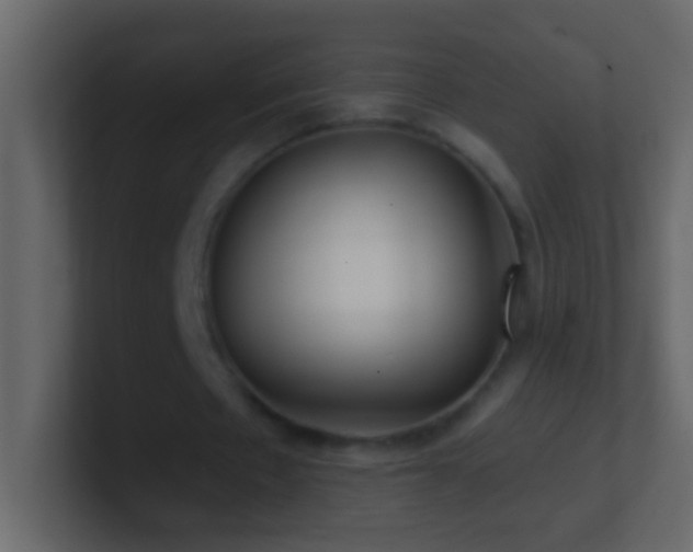 X0000101440481200807071405