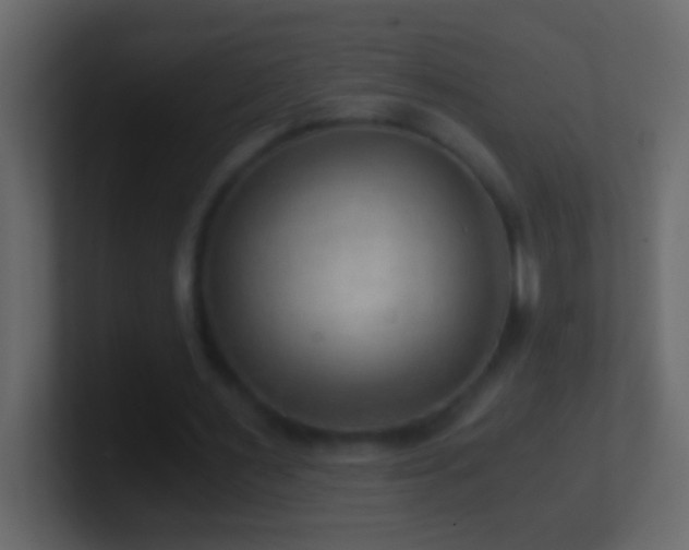 X0000101440483200807071405