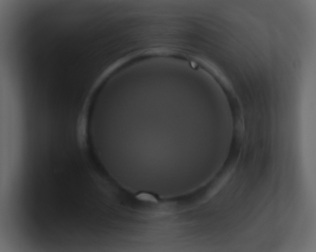 X0000101440484200807071405