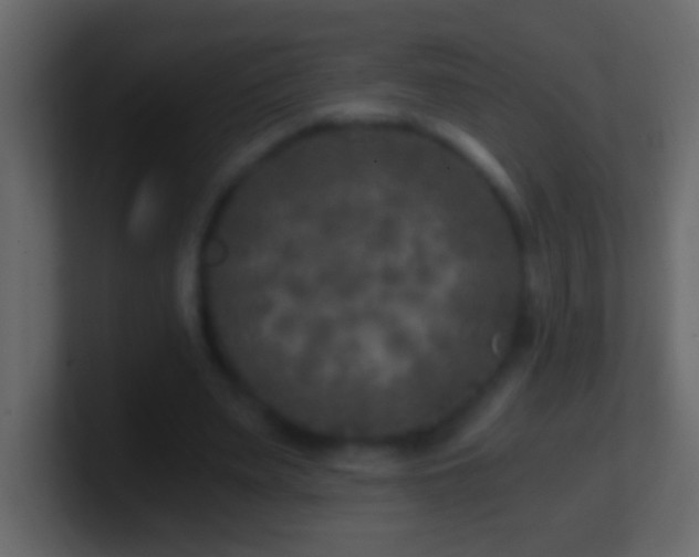 X0000101440487200807071405