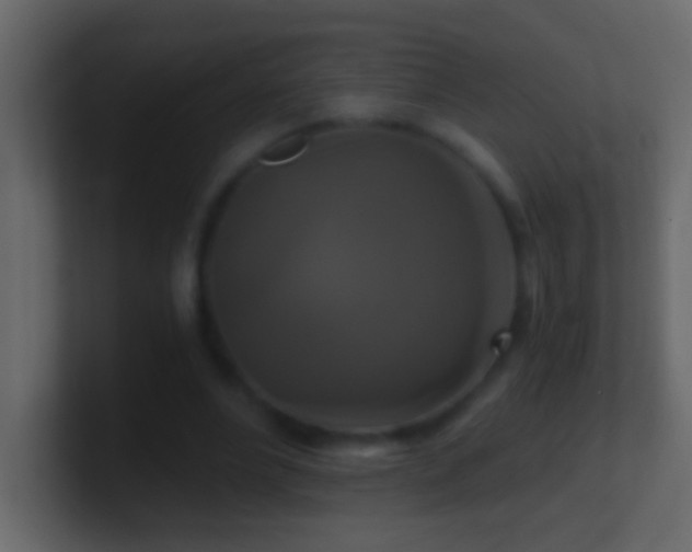 X0000101440488200807071405