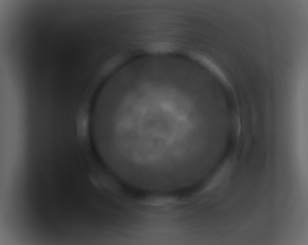 X0000101440491200807071405