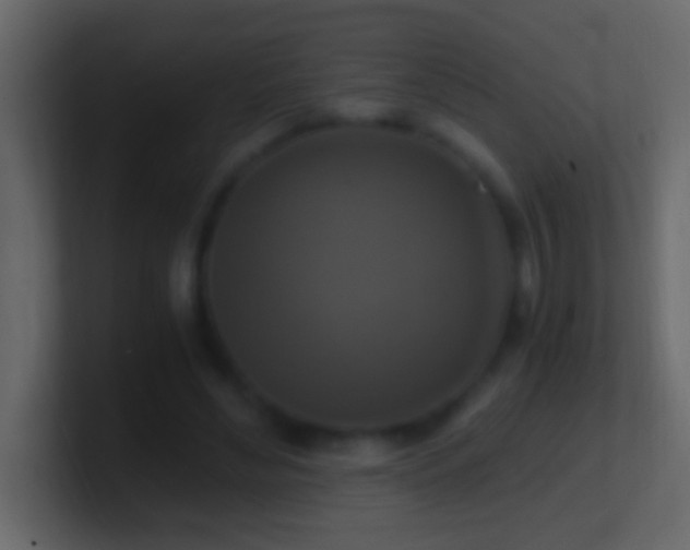 X0000101440492200807071405