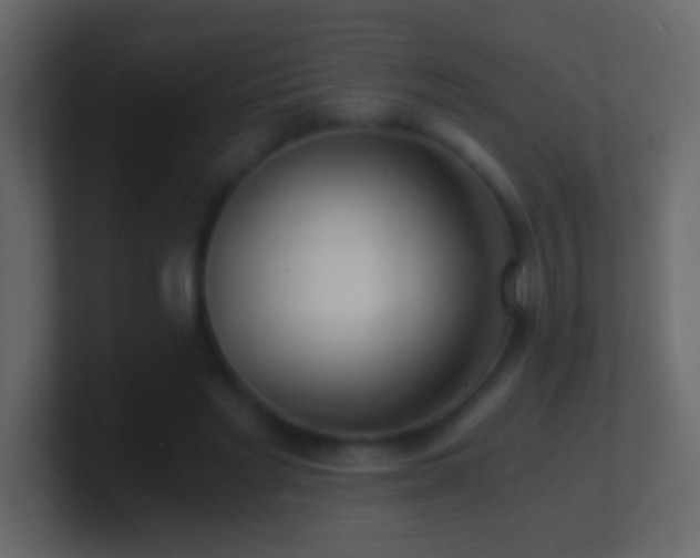 X0000101440493200807071405