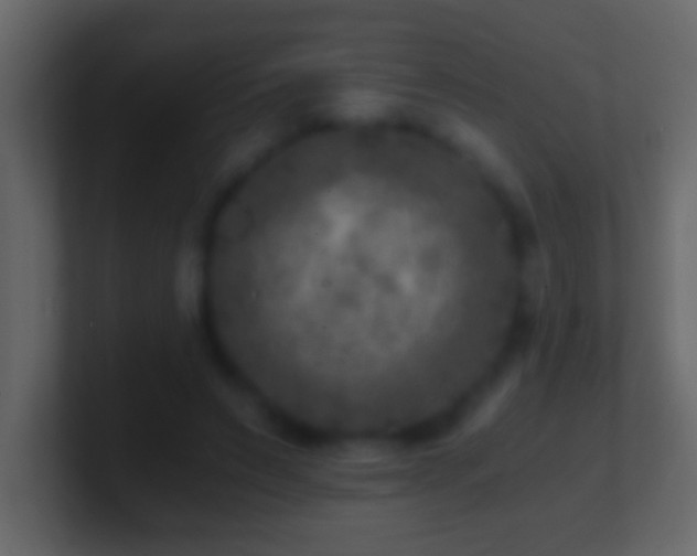 X0000101440495200807071405