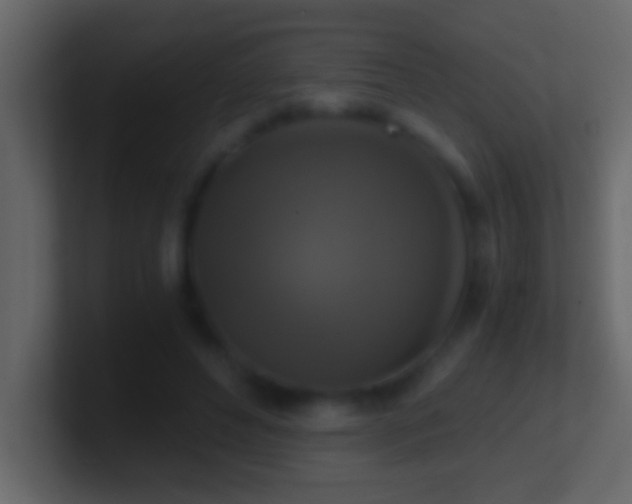 X0000101440496200807071405