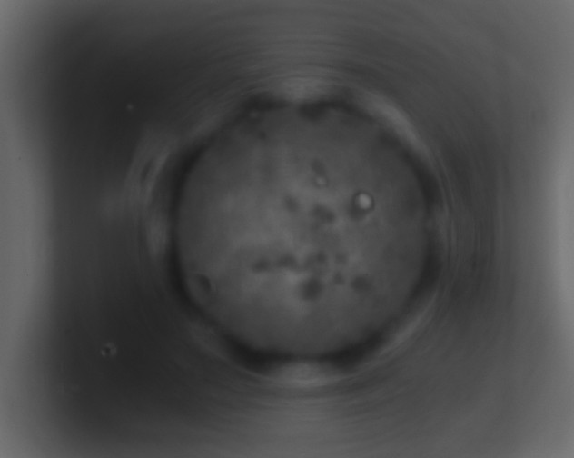 X0000101440499200807071405