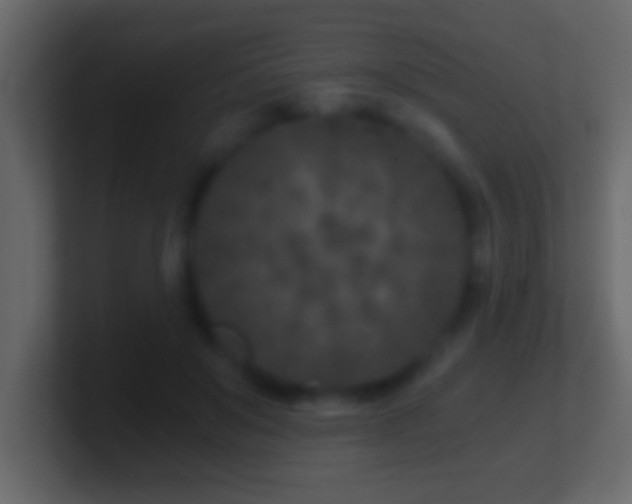 X0000101440503200807071405