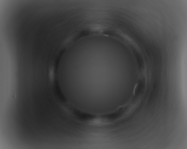 X0000101440504200807071405