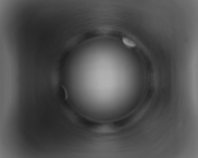 X0000101440505200807071405