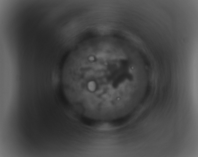 X0000101440507200807071405