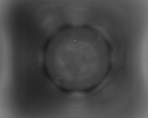 X0000101440511200807071405