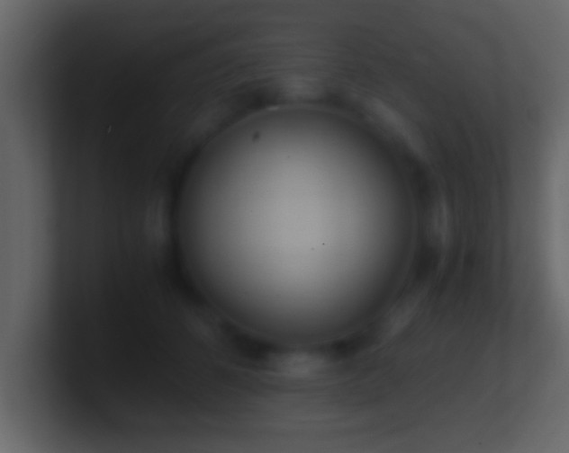 X0000101440512200807071405