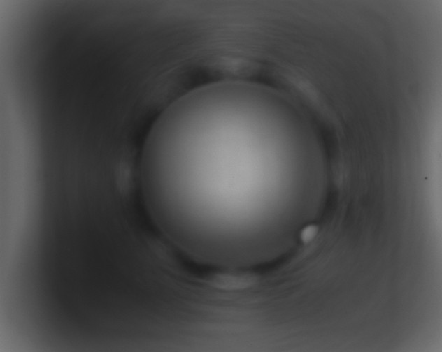 X0000101440515200807071405