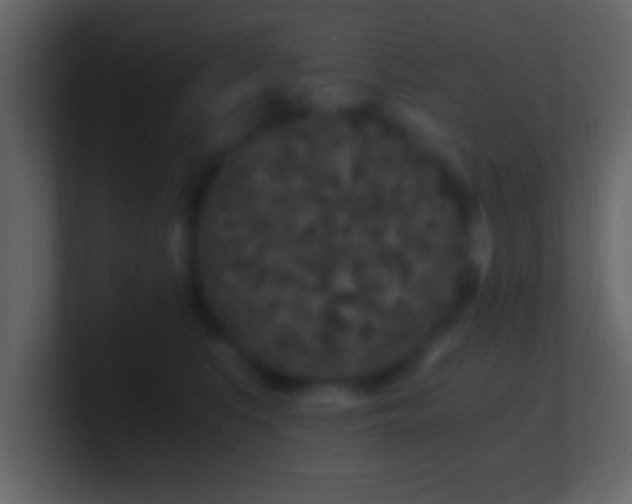 X0000101440519200807071405