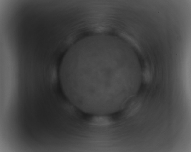 X0000101440520200807071405