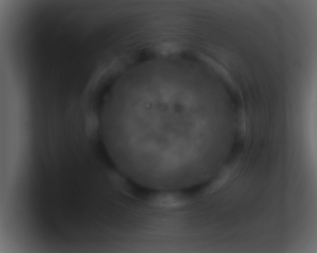 X0000101440523200807071405