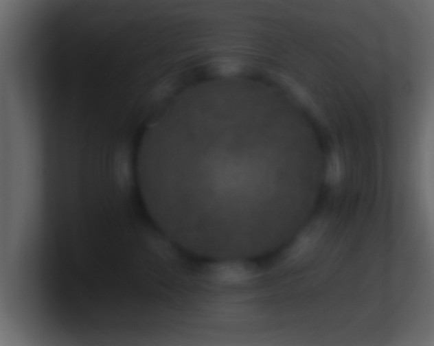 X0000101440524200807071405