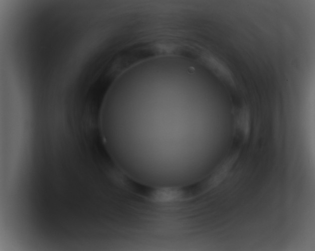 X0000101440526200807071405