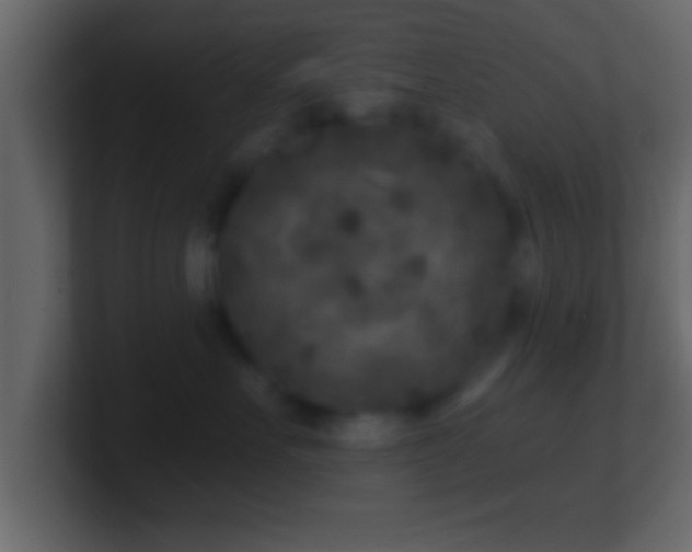 X0000101440527200807071405