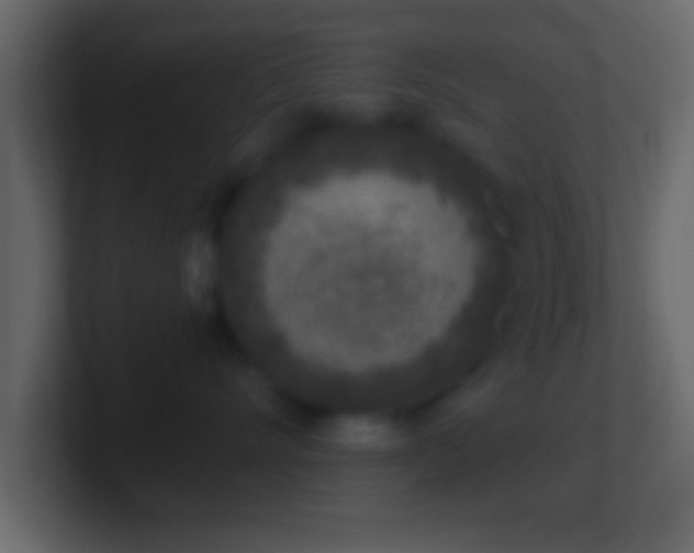 X0000101440528200807071405