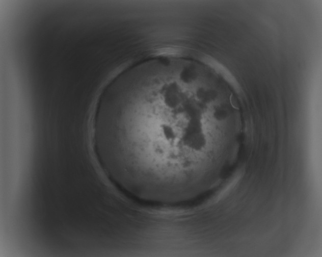 X0000101440529200807071404