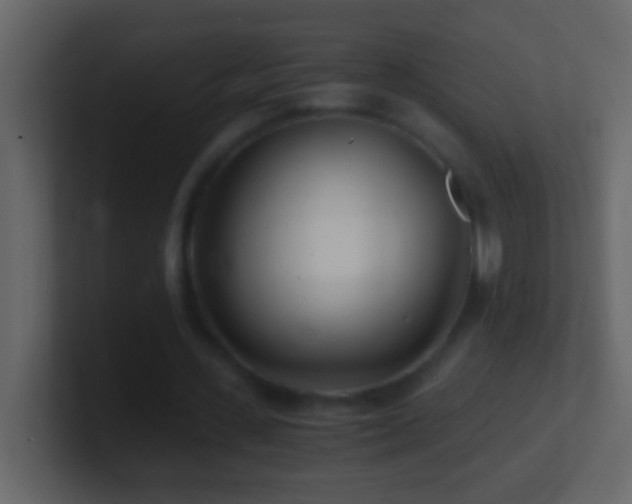 X0000101440531200807071404