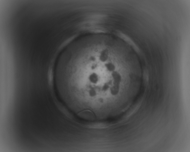 X0000101440533200807071404