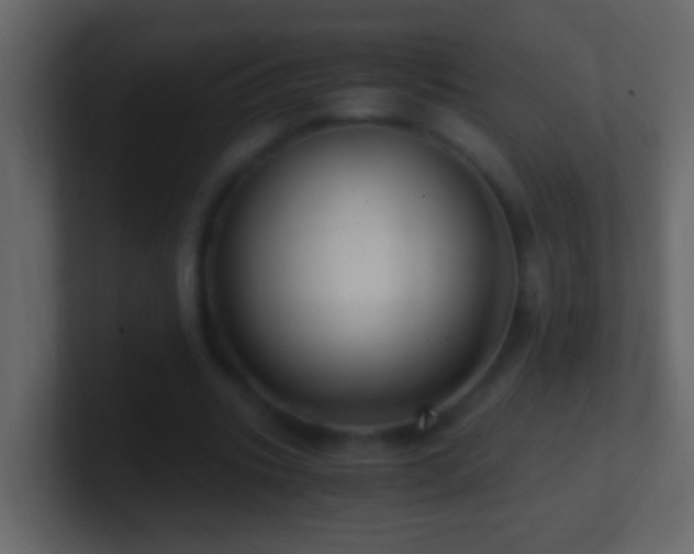 X0000101440535200807071404