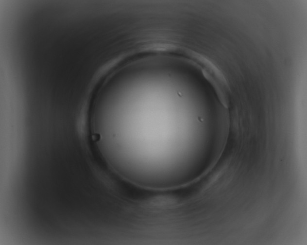 X0000101440536200807071404