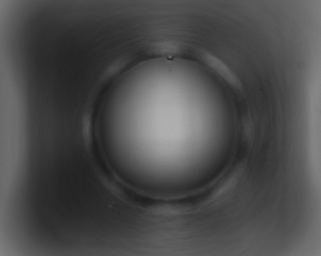 X0000101440538200807071404