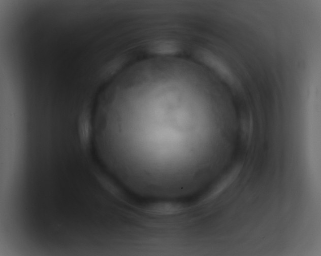 X0000101440541200807071404