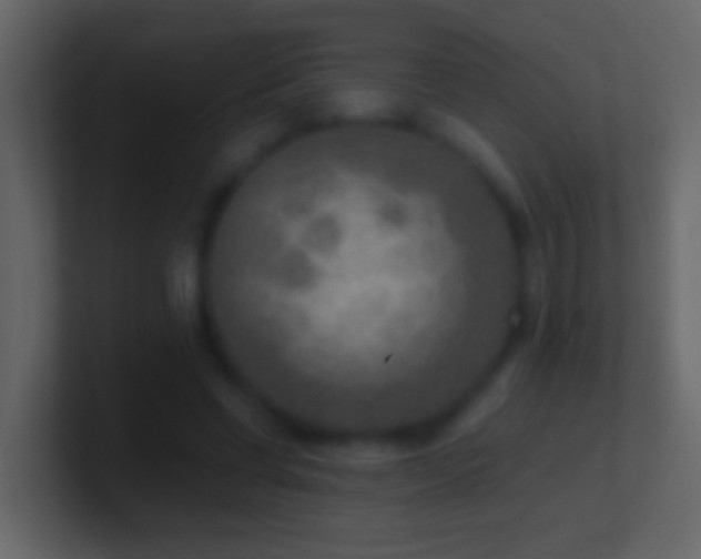 X0000101440542200807071404